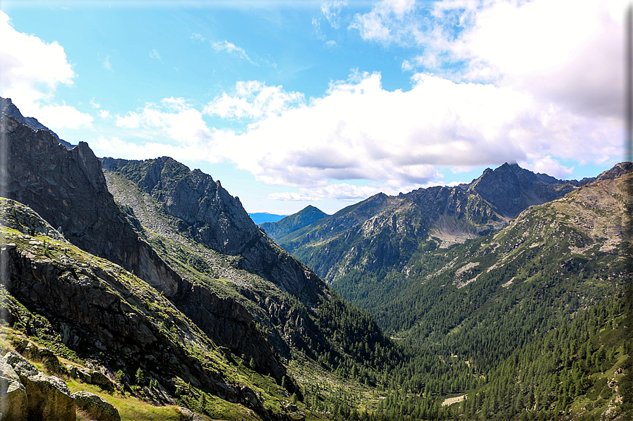 foto Cima D'Asta